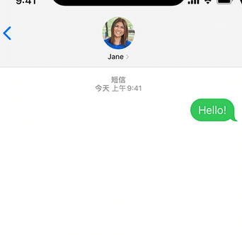 龙湖镇apple维修iPhone上无法正常发送iMessage信息 龙湖镇apple维修iPhone上无法正常发送iMessage信息