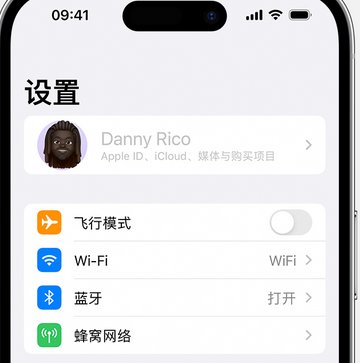 龙湖镇appleID维修服务iPhone设置中Apple ID显示为灰色无法使用