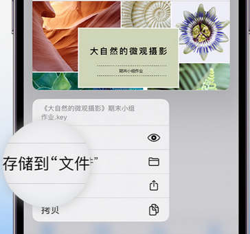 龙湖镇apple维修中心分享iPhone文件应用中存储和找到下载文件