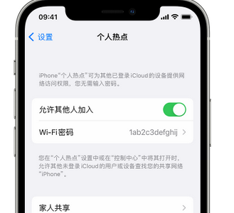 龙湖镇apple服务站点分享iPhone上个人热点丢失了怎么办 