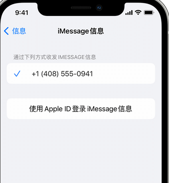 龙湖镇apple维修iPhone上无法正常发送iMessage信息 