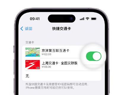 龙湖镇apple维修点分享iPhone上更换Apple Pay快捷交通卡手绘卡面 