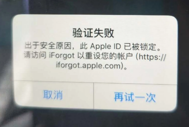 龙湖镇iPhone维修分享iPhone上正常登录或使用AppleID怎么办 