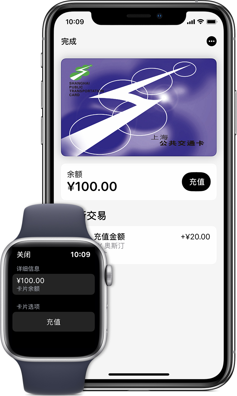 龙湖镇苹果手机维修分享:用 Apple Pay 刷交通卡有哪些优势？如何设置和使用？ 