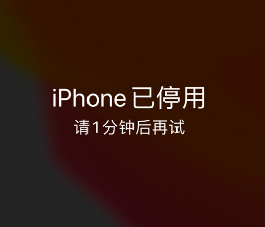 龙湖镇苹果手机维修分享:iPhone 显示“不可用”或“已停用”怎么办？还能保留数据吗？ 