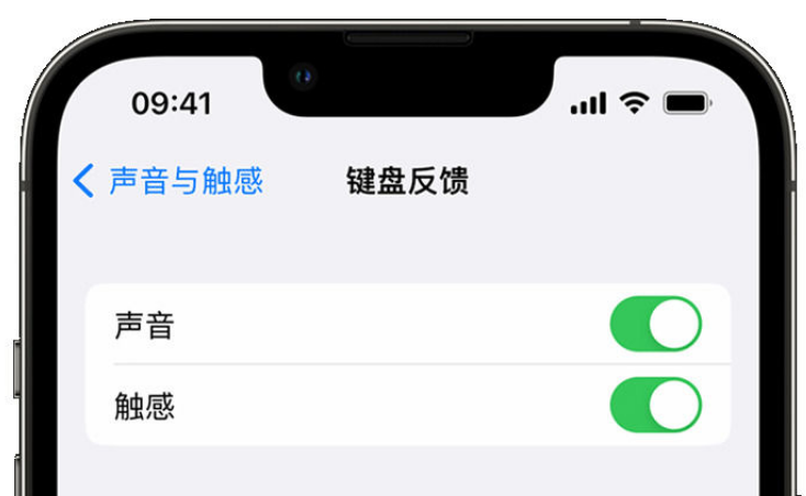 龙湖镇苹果手机维修分享iPhone 14触感键盘使用方法 