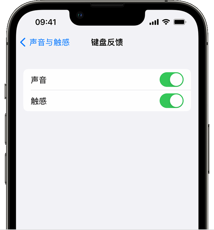 龙湖镇苹果14维修店分享如何在 iPhone 14 机型中使用触感键盘 