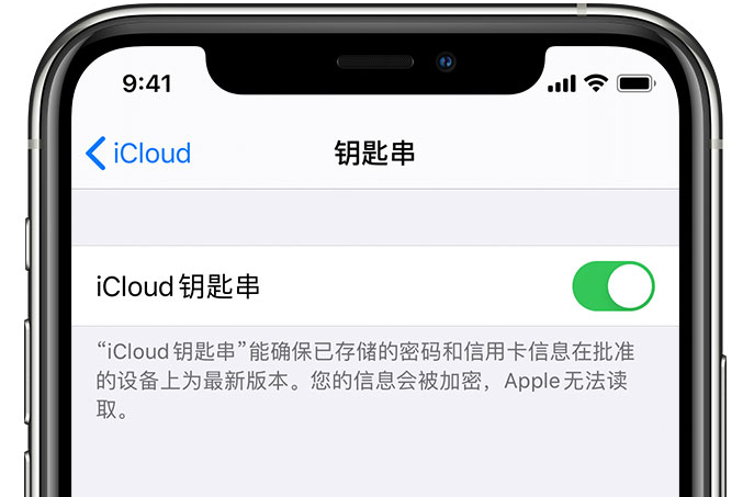 龙湖镇苹果手机维修分享在 iPhone 上开启 iCloud 钥匙串之后会储存哪些信息 