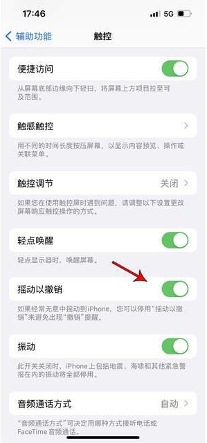 龙湖镇苹果手机维修分享iPhone手机如何设置摇一摇删除文字 